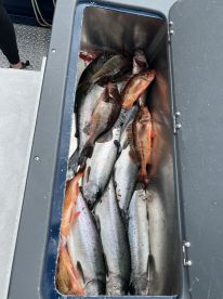 Great trip lots of fish