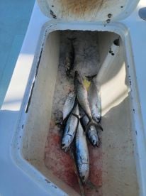 July fishing trip