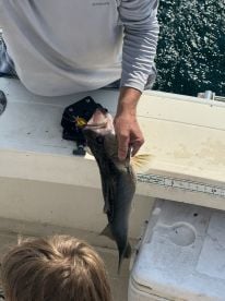 Fishing with Mark