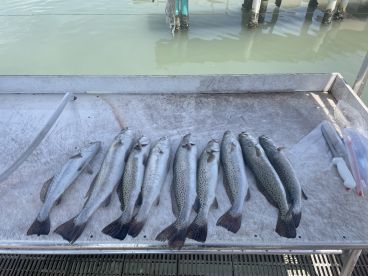 Great day on the water 