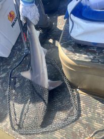 Phenomenal Fishing Trip