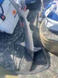 Phenomenal Fishing Trip