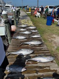 Awesome time. Caught 64 fish. 