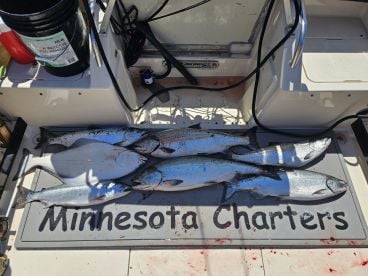 Great Experience, Excellent Fishing