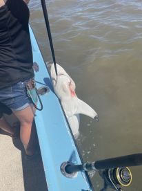 Fishing with Bill