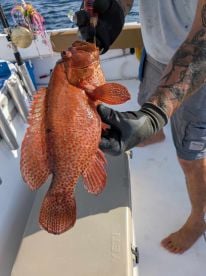 Great 6hr Fishing Expedition 