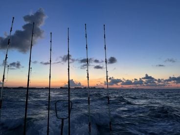 Great 6hr Fishing Expedition 
