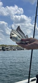 Landed the big one