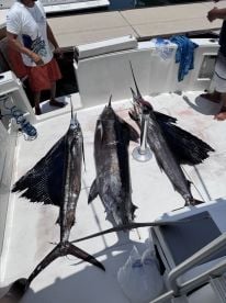 A MUST DO FISHING TRIP!