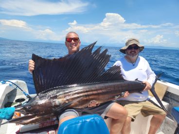 Trophy sailfish