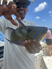 Perfect Aruba Fishing!