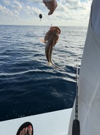 Another great trip