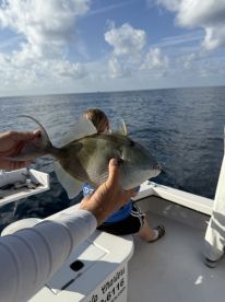 Another great trip