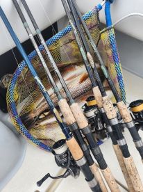 Summer fishing  / Tarpon Springs