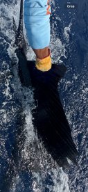 Fish on! 
