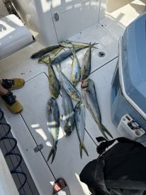 Mahi Massacre