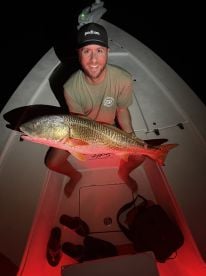 Amazing night trip!