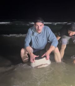 11’ Tiger Shark