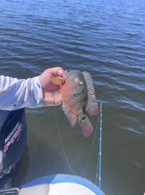 Fishing with Andrew