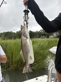 Friendly, Helpful, Caught  keepers
