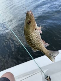Great fishing!
