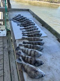 2 GREAT DAYS fishing in the Gulf of America !!