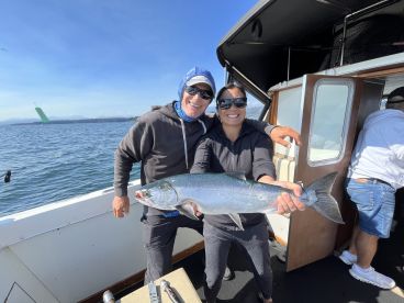 Knowledgeable Captain 