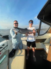 Knowledgeable Captain 
