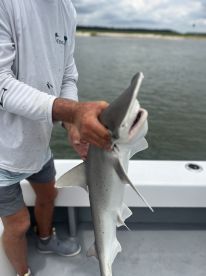 Captain David made this fishing experience awesome