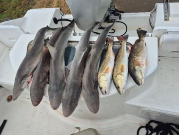 Fishing with Bobby