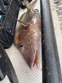 Great boating trip