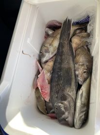 August fishing trip
