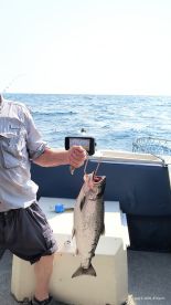 Captain Wayne was great \ud83d\udc4d