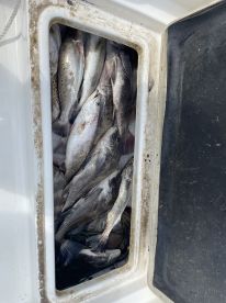 Great time on the water!