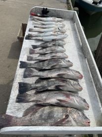 Great time on the water!