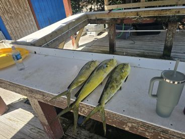 Caption Ray put us on the Mahi on a short trip!! 