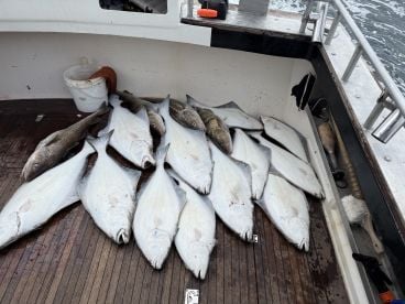Put us on fish
