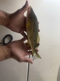 The best night of fishing 