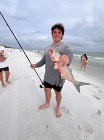 Great shore trip!