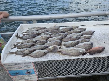 Captain Jason is great!