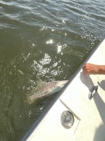 Best charter yet !!! 