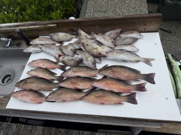 In-Shore trip, awesome time! 