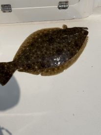 Great trip with my daughter