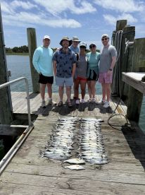 Wrecked the Spanish mackerel 