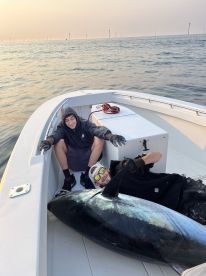 Hammering Bluefin 