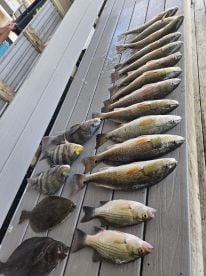 Hey put us on the red fish!