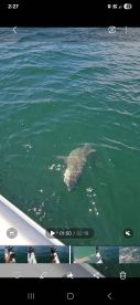 Great fishing experience