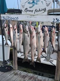 Great fishing 