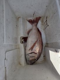 Great fishing trip with a HUGE surprise!
