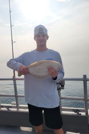 On the fish quick